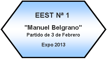 Preparacin: EEST N 1 "Manuel Belgrano"  Partido de 3 de FebreroExpo 2013