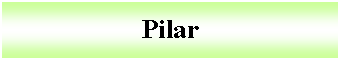 Cuadro de texto: Pilar