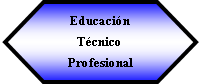Preparacin: Educacin Tcnico Profesional