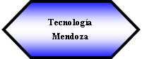 Preparacin: Tecnologa Mendoza 