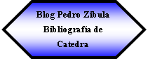 Preparacin: Blog Pedro Zibula Bibliografa de Catedra
