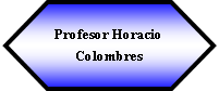 Preparacin: Profesor Horacio Colombres 