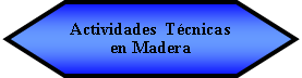 Preparacin: Actividades  Tcnicas en Madera 