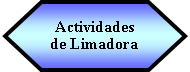 Preparacin: Actividades  de Limadora