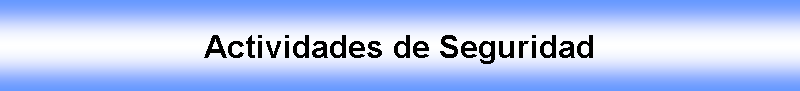 Cuadro de texto: Actividades de Seguridad 