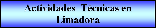 Proceso: Actividades  T�cnicas en Limadora 