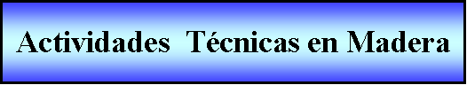 Proceso: Actividades  T�cnicas en Madera 