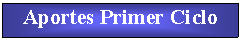 Cuadro de texto: Aportes Primer Ciclo