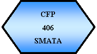 Preparación: CFP406SMATA