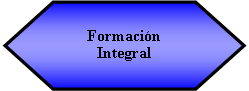 Preparacin: Formacin Integral 