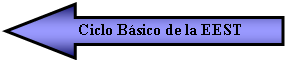 Flecha izquierda: Ciclo Bsico de la EEST