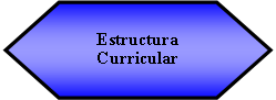 Preparacin: Estructura Curricular 