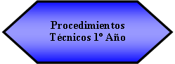 Preparacin: Procedimientos Tcnicos 1 Ao