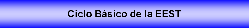 Cuadro de texto: Ciclo Bsico de la EEST