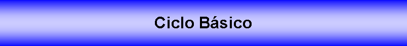 Cuadro de texto: Ciclo Bsico 