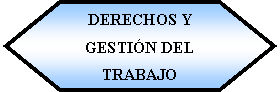 Preparacin: DERECHOS Y  GESTIN DEL TRABAJO