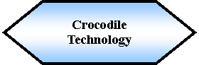 Preparacin: Crocodile Technology 