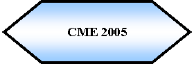 Preparacin: CME 2005