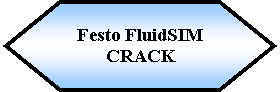Preparacin: Festo FluidSIMCRACK