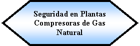 Preparacin: Seguridad en Plantas Compresoras de Gas Natural