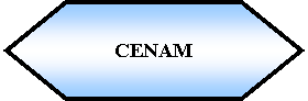 Preparacin: CENAM