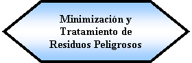 Preparacin: Minimizacin y Tratamiento de Residuos Peligrosos 