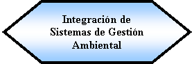 Preparacin: Integracin de Sistemas de Gestin Ambiental 