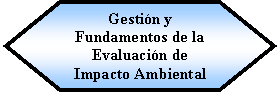 Preparacin: Gestin y Fundamentos de la Evaluacin de Impacto Ambiental 