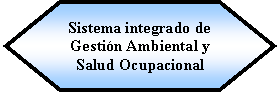 Preparacin: Sistema integrado de Gestin Ambiental y Salud Ocupacional 