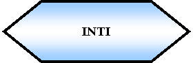 Preparacin: INTI 