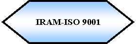 Preparacin: IRAM-ISO 9001