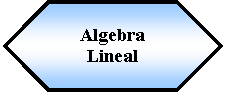 Preparacin: Algebra Lineal 