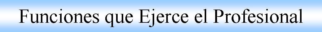 Cuadro de texto: Funciones que Ejerce el Profesional 