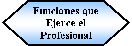 Preparacin: Funciones que Ejerce el Profesional 