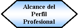 Preparacin: Alcance del Perfil Profesional