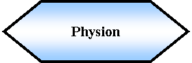 Preparacin: Physion 