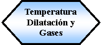 Preparacin: Temperatura Dilatacin y Gases 