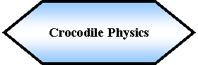 Preparacin: Crocodile Physics