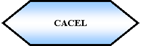 Preparacin: CACEL