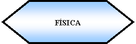 Preparacin: FSICA