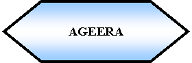 Preparacin: AGEERA