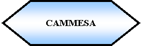 Preparacin: CAMMESA