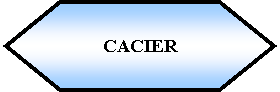 Preparacin: CACIER