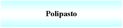 Cuadro de texto: Polipasto 