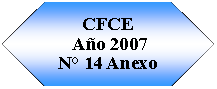 Preparacin: CFCE Ao 2007N 14 Anexo