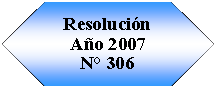 Preparacin: Resolucin Ao 2007N 306