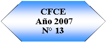 Preparacin: CFCE Ao 2007N 13