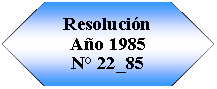 Preparacin: Resolucin Ao 1985N 22_85