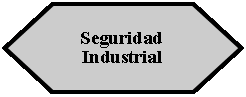 Preparacin: Seguridad Industrial 