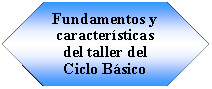 Preparacin: Fundamentos y caractersticas del taller del Ciclo Bsico 